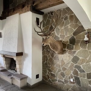 Pierre Opus Incertum (Vloer / Wand) Leisteen Homa (1 m2 = 18-22 stuks)