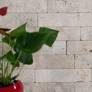 Classic Cross Cut Tumbled Travertine Brick, 20 x 5 x 3 cm