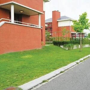 Grass Fix Eco, 55 x 38 cm, vert