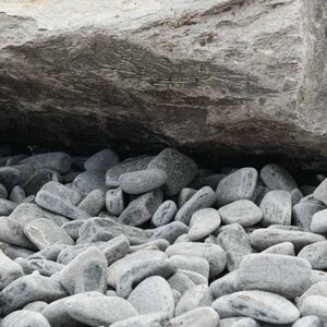 Kavala Leisteen Grijze Vis Pebbles 3-6 cm KG