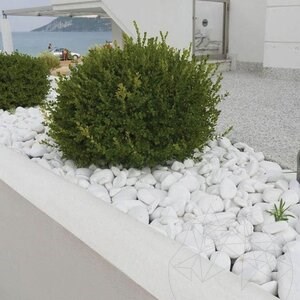 Galets de Marbre de Thassos, 1-3 cm, Sac de 20 Kg