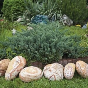 Regenboog Zandsteen Pebbles 10-30 cm KG