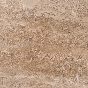 Vloer- en wandtegels Travertin Latte Poli PRIME 61 x 30,5 x 1,2 cm