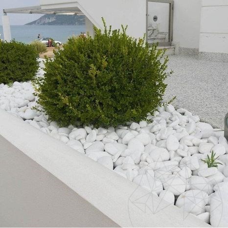 Witte Thassos Marmer Pebbles 6-10 cm KG