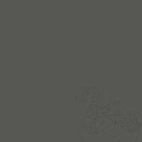 Weber Color Perfect Anthracite, 5 Kg, Coulis flexible pour murs et sols