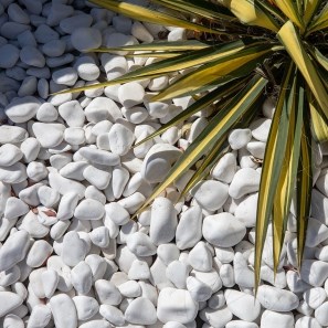 Witte Thassos Marmer Pebbles 1-3 cm KG